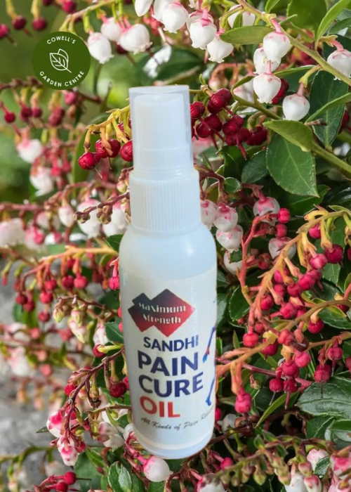 Untitled design (30)